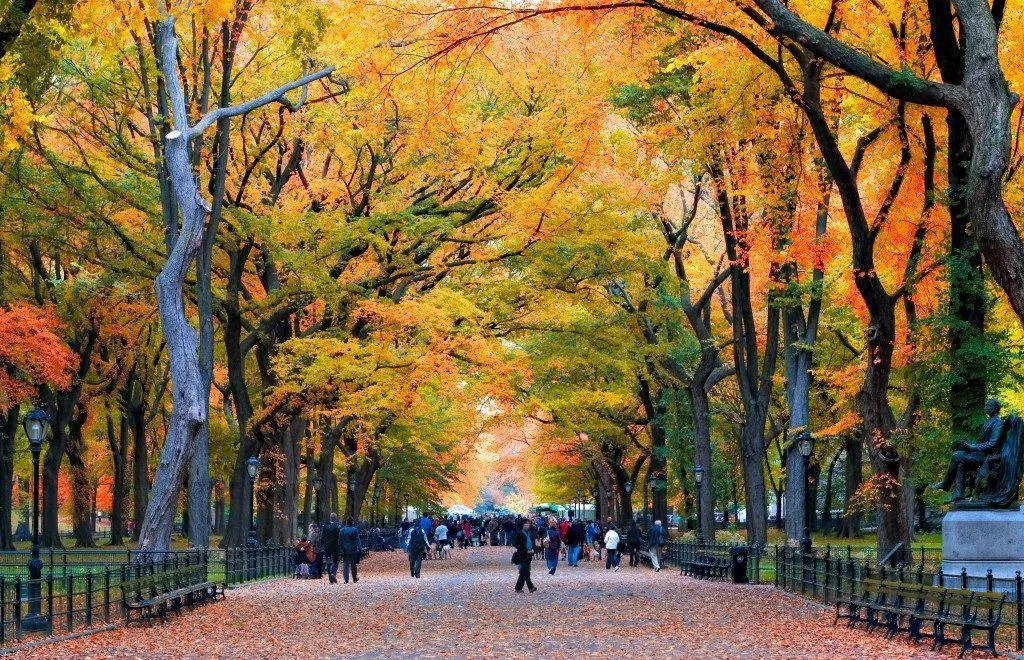 Central Park en Nueva York