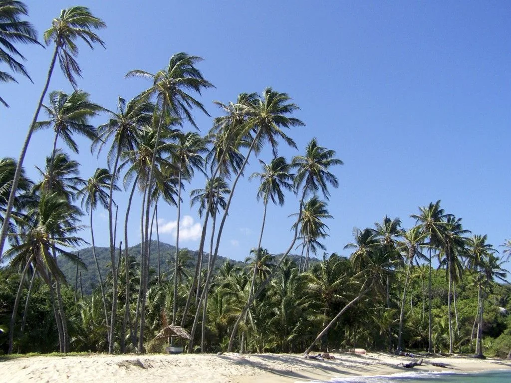 Parque Tayrona en Colombia
