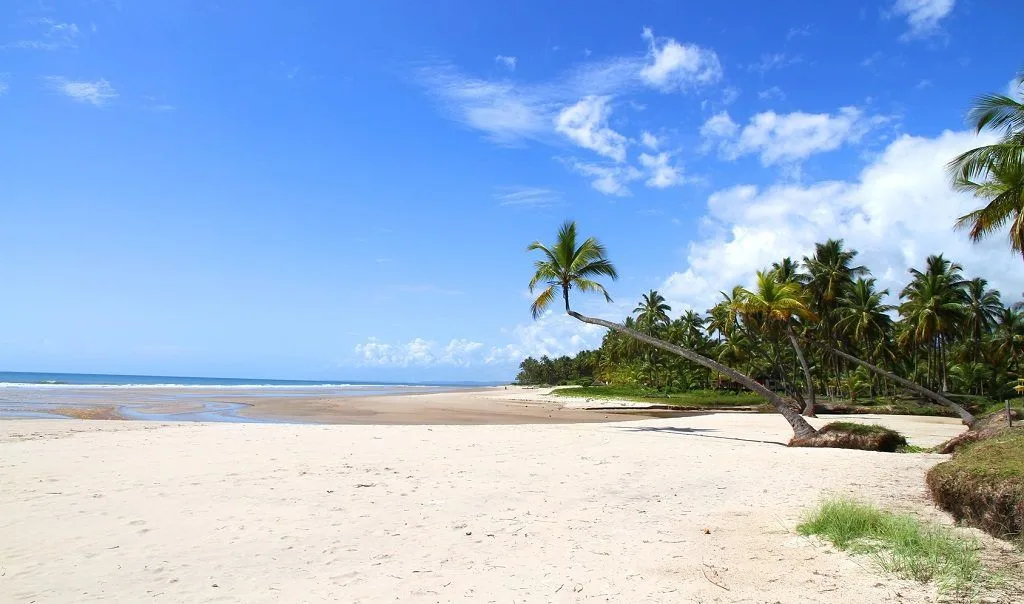 Peninsula Marau, Salvador