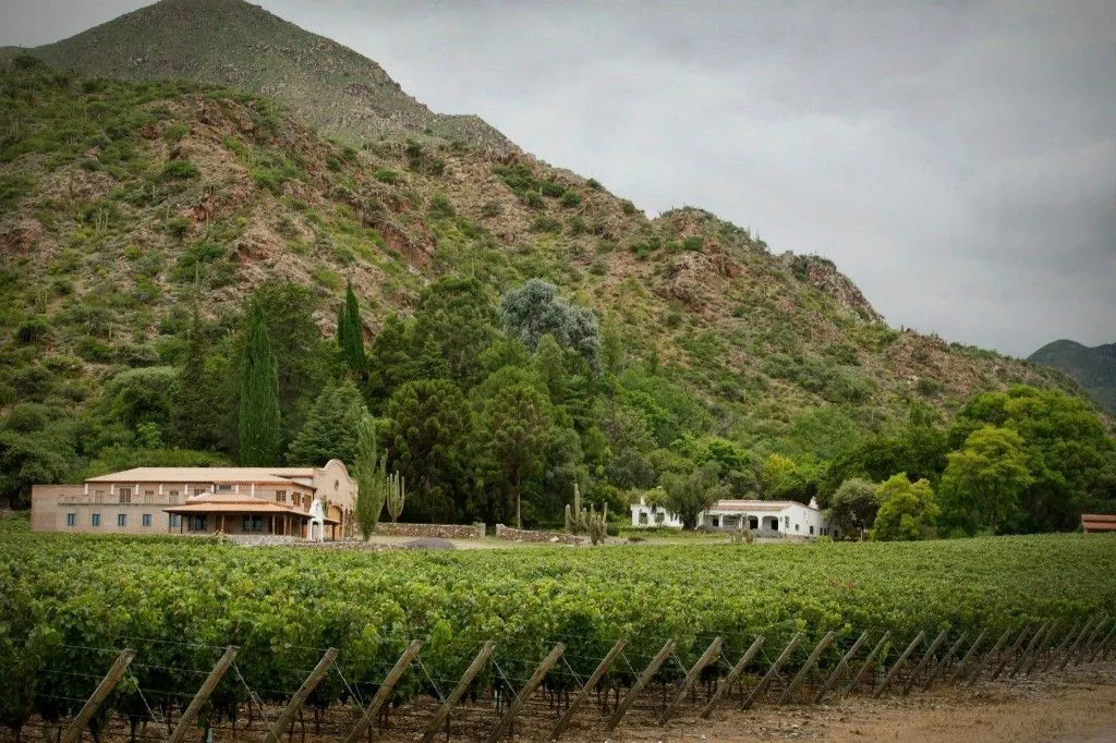 Bodega San Pedro de Yacochuya en Cafayate