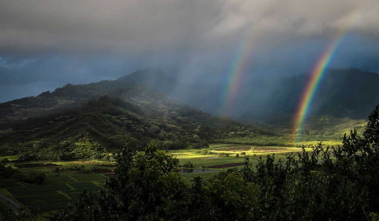 La isla de Kauai, nuestra favorita por su hermosa naturaleza