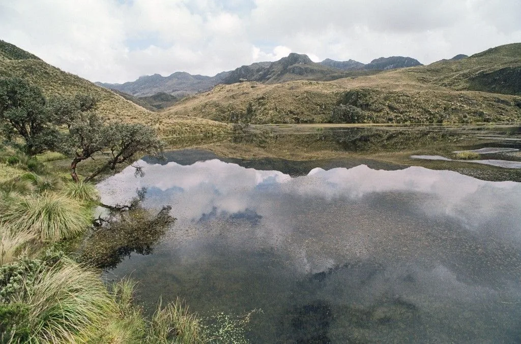 Laguna Patoquinbas, Cuenca