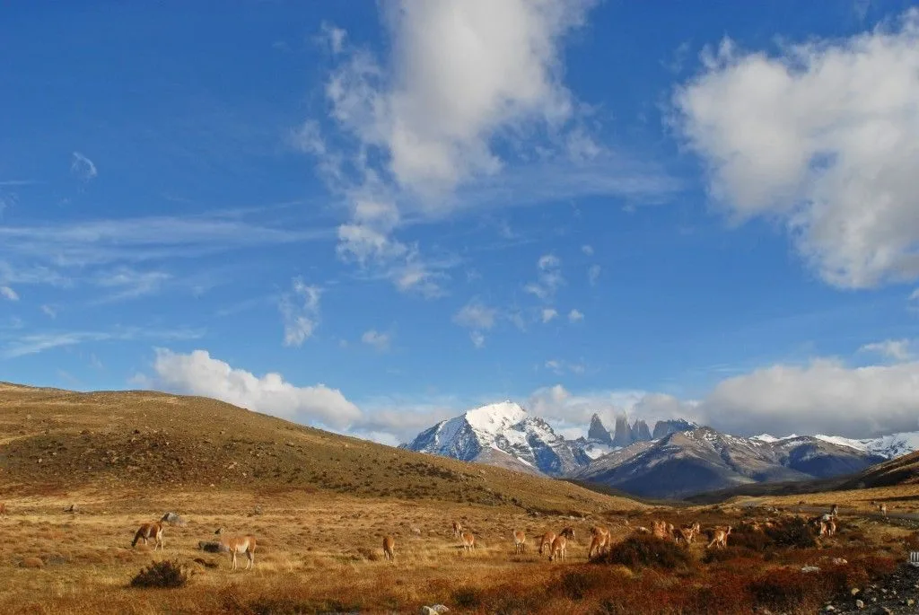 paisaje-torres-del-paine-chile