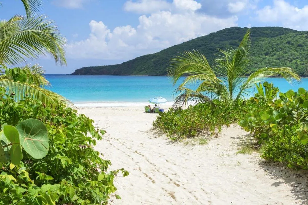 Playas secretas en Barbados, no te las pierdas