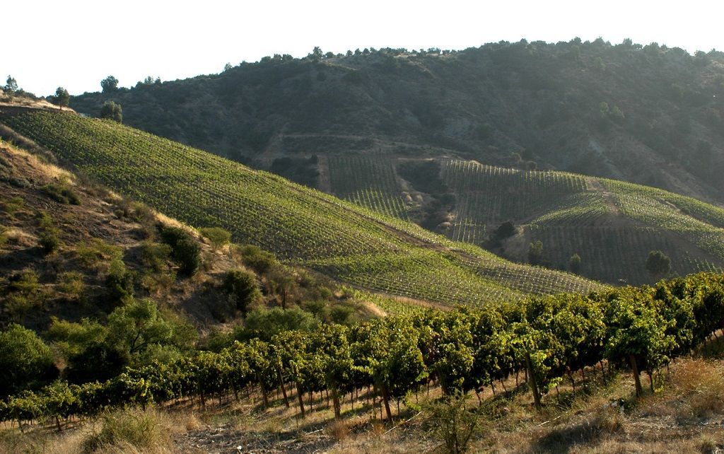 Valle de Cachapoal, Ruta del Vino Chileno
