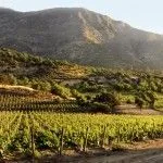 Valle del Maipo, Ruta del vino chileno