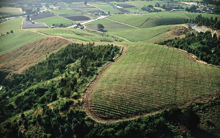 Valle de San Antonio y Casablanca, Ruta del Vino chileno