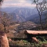 Parque Calilegua en Jujuy