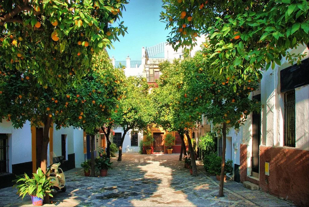 Barrio de Santa Cruz - Sevilla