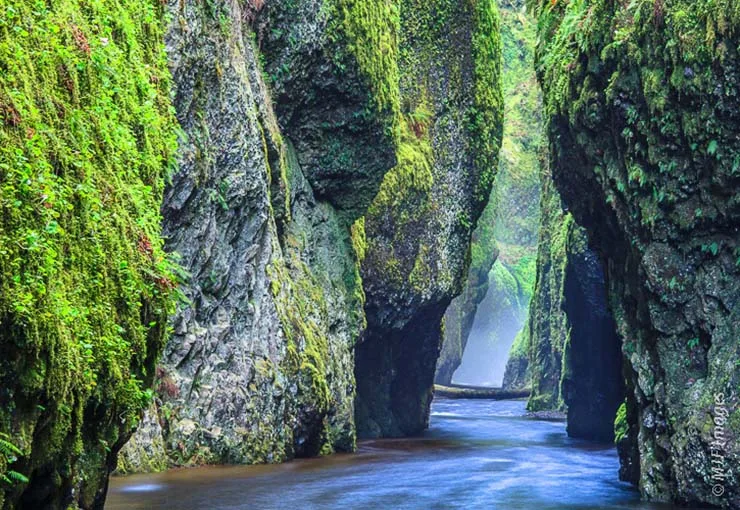 Oneonta Gorge