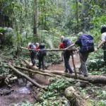 El Trecking es muy popular en Luang Namtha