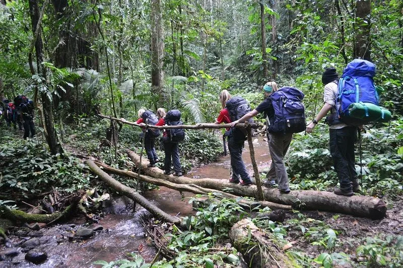 El Trecking es muy popular en Luang Namtha
