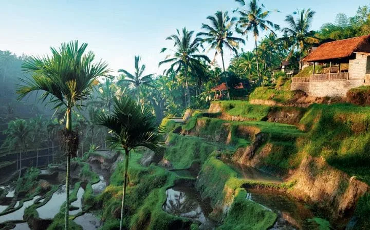 Lo que tienes de lindo lo tienes de turbio, Bali