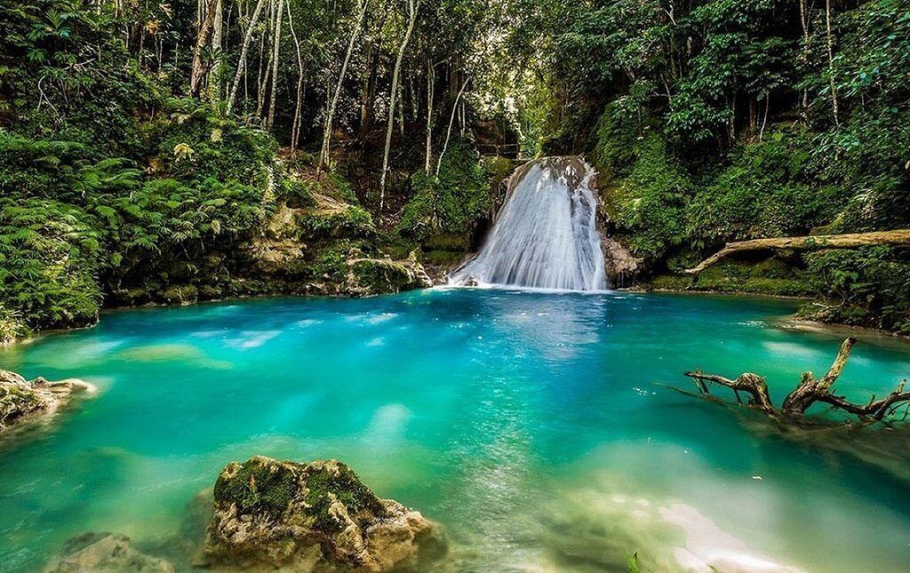 Naturaleza increíble en Jamaica
